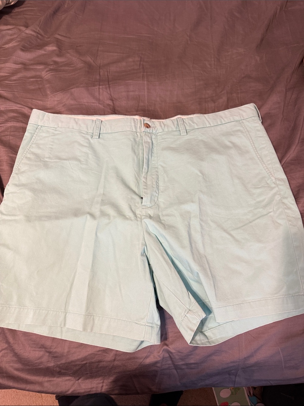 Polo by Ralph Lauren Light Aqua Flat Front Shorts